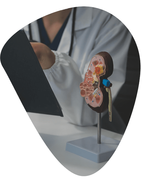 doctores-en-nefrologia-experimentados.png