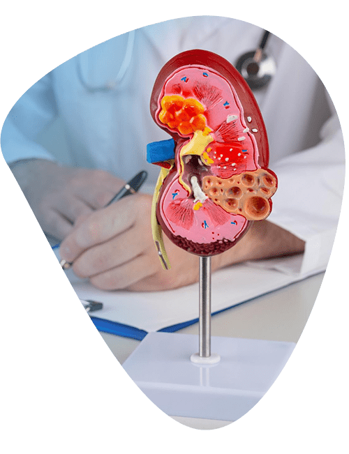 medico-nefrologo.png
