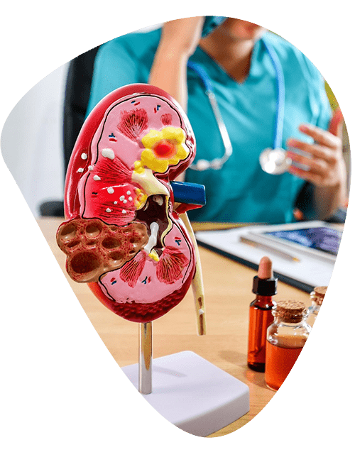 pruebas-nefrologia-clinica.png