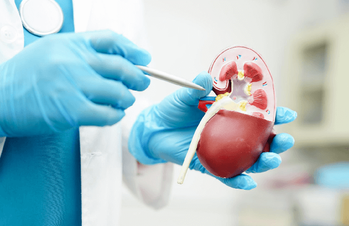 Trasplante renal